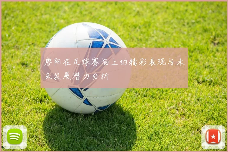 廖阳在足球赛场上的精彩表现与未来发展潜力分析