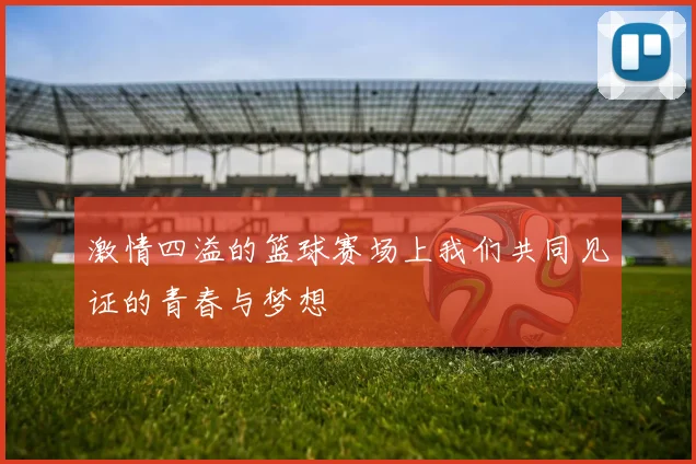 激情四溢的篮球赛场上我们共同见证的青春与梦想