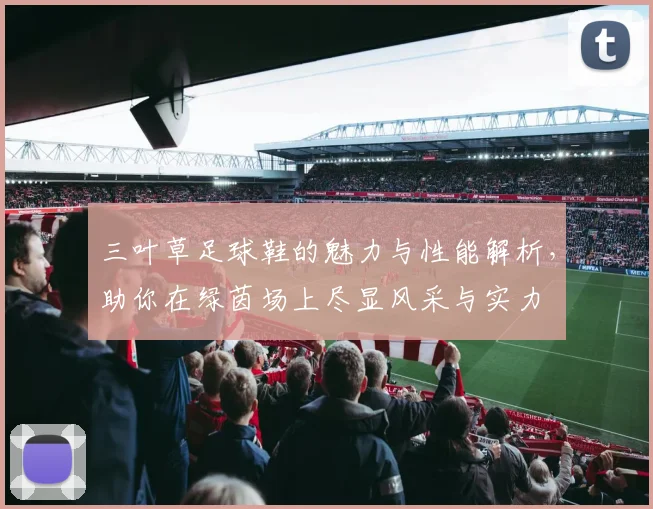 三叶草足球鞋的魅力与性能解析，助你在绿茵场上尽显风采与实力