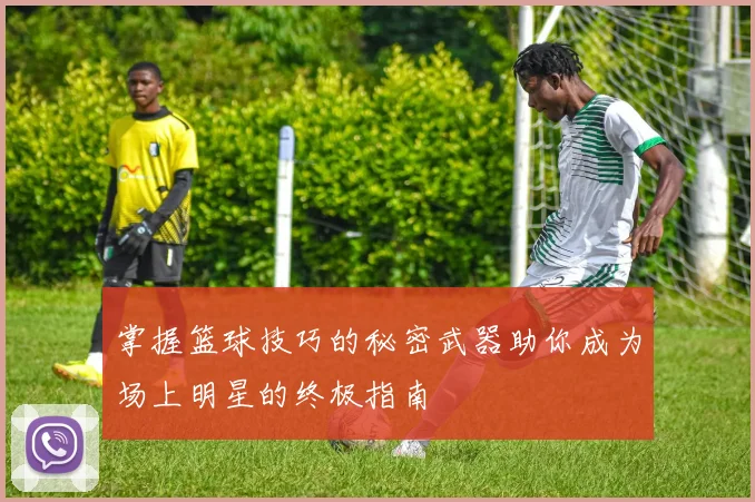 掌握篮球技巧的秘密武器助你成为场上明星的终极指南
