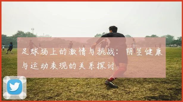 足球场上的激情与挑战：阴茎健康与运动表现的关系探讨