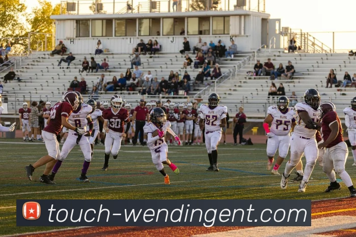 WendingAPP 高清赛事图